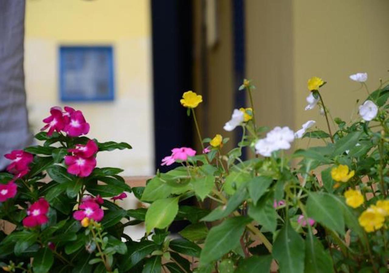 Brasileranza Hostel Νιτερόι Εξωτερικό φωτογραφία